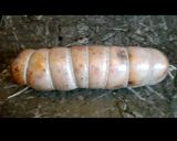 Foto del paso 2 de la receta: Matambre de cerdo arrollado