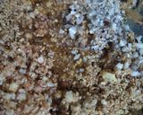 A picture of step 4 of Edible Gum (gond) laddus.