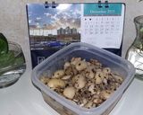 Foto del paso 1 de la receta Porotos pallares y garbanzos
