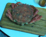 Foto del paso 1 de la receta: Centolla rellena