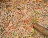Brown spaghettimatakin girki3 hoto