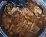 Foto del paso 7 de la receta Estofado de pollo/conejo con patatas