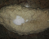 Foto del paso 3 de la receta: Pan de molde