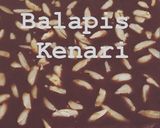 Foto langkah ke 8 dari resep Balapis Kenari ala Manado.