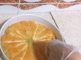 جلاش بالكاسترد