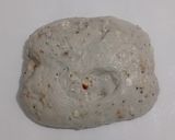 Foto langkah ke 14 dari resep Moringa Wijen Jinten Hitam Chili Flakes Cheese Sourdough Bread (Open Bake Method).