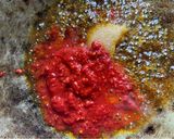 Gambar langkah 2 resipi Sambal Kentang Ikan Bilis Balado.