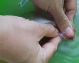 Hình bước làm 1 của món Cá mó chiên muối tôm (NCKD)