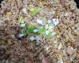 Foto langkah ke 4 dari resep Nasi Goreng Smoked Beef.