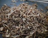 Hình bước làm 6 của món Ruốc nấm sò trắng (nấm bào ngư)