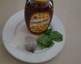 Foto langkah ke 1 dari resep Mint tea maghrebi/morrocan tea.