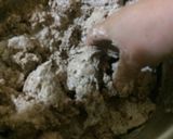 Foto del paso 2 de la receta: Pan integral y avena