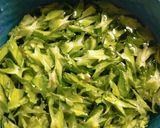 Foto langkah ke 1 dari resep Tumis Kecipir Teri.