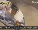 รูปขั้นตอนการทำที่ 2 ของ วุ้นกะทิใบเตย