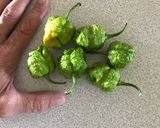 A picture of step 1 of Reaper Madness Hot Sauce by Boca de Fogo.
