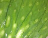 Foto del paso 13 de la receta: Tacos de suadero con consomé. 🐄