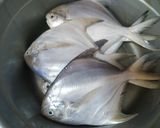 Foto langkah ke 1 dari resep Lempah Kuning Bawal Putih.