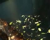 A picture of step 4 of Dates dry fruits rolls.