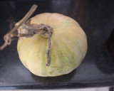 Foto del paso 1 de la receta: Ajonesa de calabaza con perejil