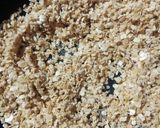 ওটস নলেন গুড়ের পায়েস (Oats Nalen Gurer Payes Recipe in Bengali) রেসিপি ধাপ - 2 ছবি