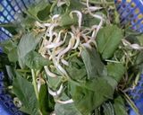 Foto langkah ke 1 dari resep Tumis bayam.