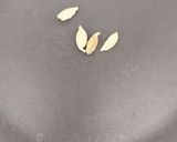 A picture of step 2 of Phirni.