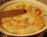 Foto del paso 5 de la receta: Mermelada de Damascos
