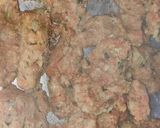 દુધી ના મુઠીયા (Dudhi Muthia Recipe In Gujarati) રેસીપી સ્ટેપ2ફોટો