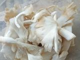 Tumis Sawi Hijau Sambal Terasi