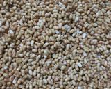 ફણગાવેલા મઠનું શાક(Sprouted moth sabji recipe in Gujarati) રેસીપી સ્ટેપ1ફોટો