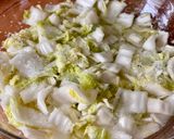 Foto del paso 1 de la receta: 🇰🇷 KIMCHI (김치, Corea del Sur)