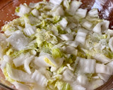 Foto del paso 1 de la receta: 🇰🇷 KIMCHI (김치, Corea del Sur)