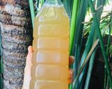 Hình bước làm 3 của món Trà sen tắc mật ong