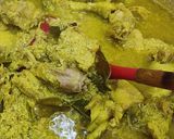 Foto langkah ke 7 dari resep Nasi Bebek Khas Surabaya.