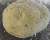 Foto del paso 2 de la receta: Galletas de queso azul y nueces