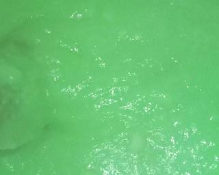 Es Cendol Saus Kurma - Step 1