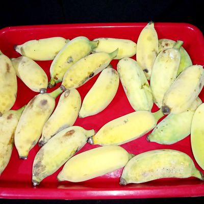 Langkah 1