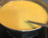 Cream of Chicken Soup recipe step 4 photo