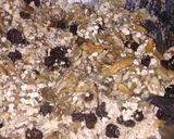 Foto del paso 2 de la receta: Barras de granola y banana