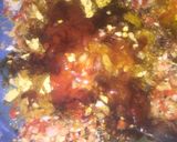 A picture of step 3 of Honey grilled chicken.