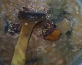 A picture of step 5 of Mash daal with gravy..... Yumm.