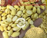 Hình bước làm 1 của món Đậu hũ không thạch cao