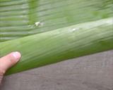 Foto langkah ke 6 dari resep Nasi Bakar Ayam Kemangi.