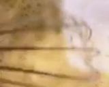 صورة لخطوة 4 من وصفة الحريرة المغربية 🇲🇦