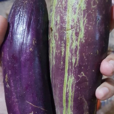 Langkah 1