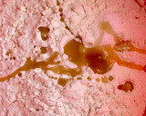 A picture of step 1 of Square chapati.