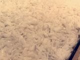 صينية رز بالقشطة 🍚