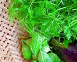 Hình bước làm 1 của món Canh trái và ngọn khổ qua rừng