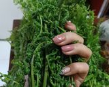 Foto langkah ke 1 dari resep Urap Sayur Pakis/ Paku dan Kacang Merah.