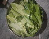 પાલક ના પરાઠા (Palak Paratha Recipe In Guajrati) રેસીપી સ્ટેપ1ફોટો